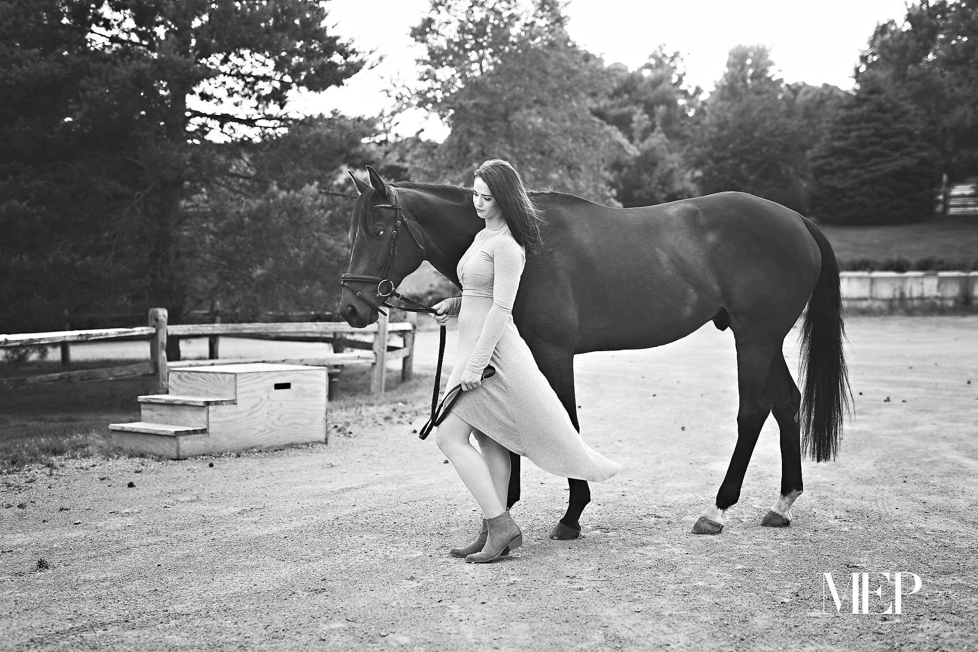 Horse equine senior photographer minnesota chaska 1